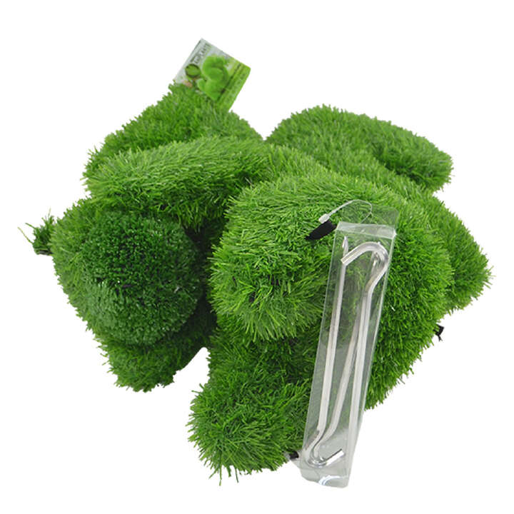 ANIPLANTS Grasfigur Eichhörnchen